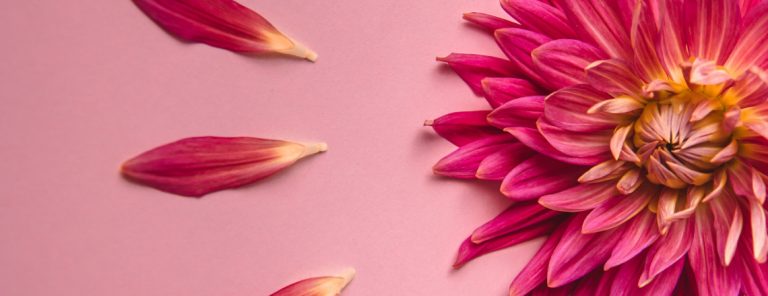 Menopauza – objawy, klimakterium i hormony. Jakie badania wykonać?