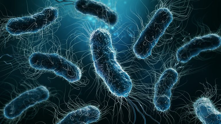 Zapalenie pęcherza moczowego – jakie są objawy? Jak leczyć?