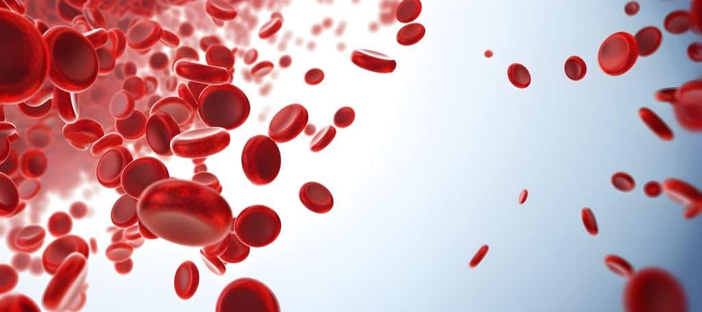 RDW-CV anemia niedokrwistość